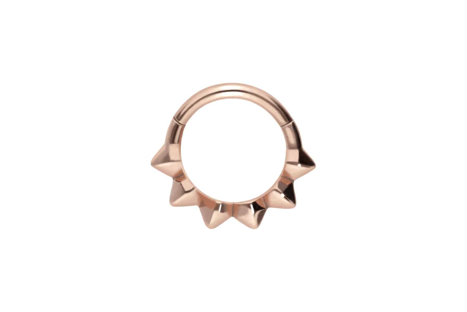 Chirurgenstahl Segmentring Clicker Piercing SPITZEN